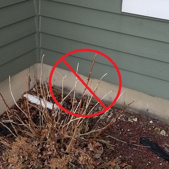 PVC pipe being partially buried in the ground
